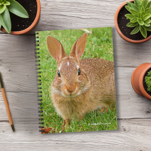 Carnet Couteau Bunny Chewing Greens sur le Golf Fairway