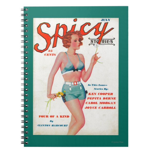 Carnet Couverture de magazine épicé (Devant)