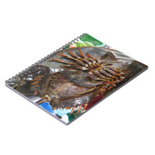 Carnet Crabe à fer à cheval ... Restauration asiatique th