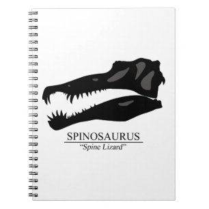 Carnet Crâne de spinosaurus