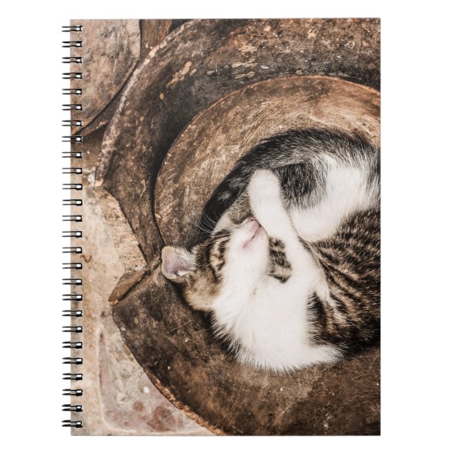 Carnet Créer votre propre - Nap de chat (Devant)