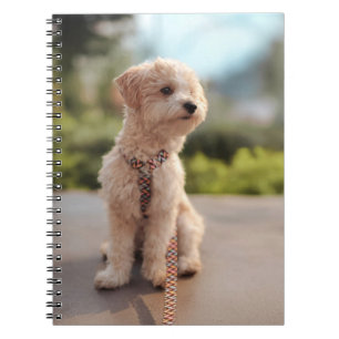 Carnet Créez Votre Propre Photo de Animal de Compagnie Pe