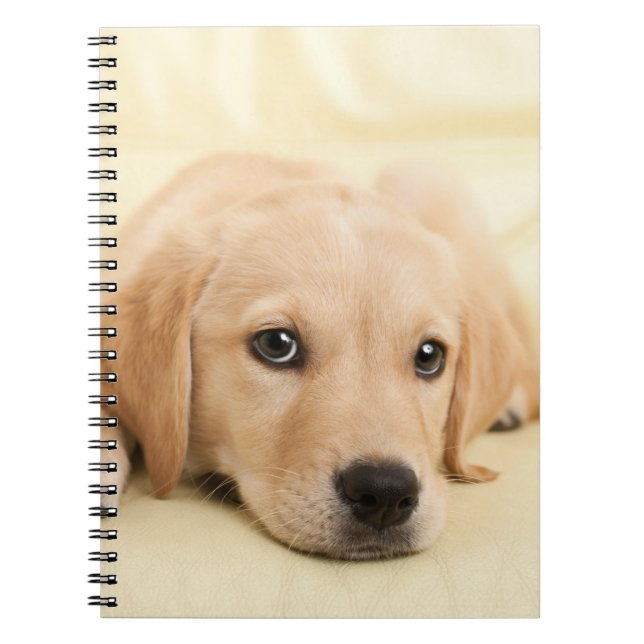 Carnet Créez Votre Propre Photo de Animal de Compagnie Pe (Devant)
