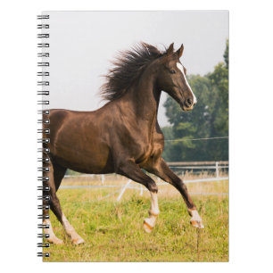 Carnet Créez votre propre photo de cheval de compagnie pe