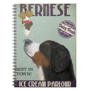 Carnet Crème de glace bernoise