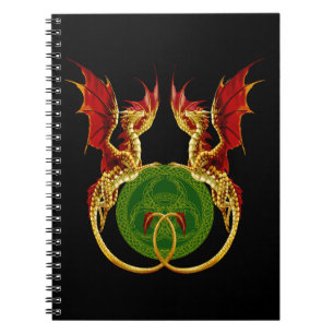 Carnet Crescent Céleste Lune Et Dragons