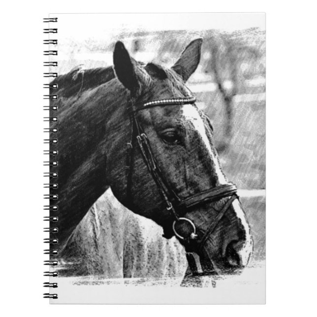 Carnet Croquis noir blanc (Devant)