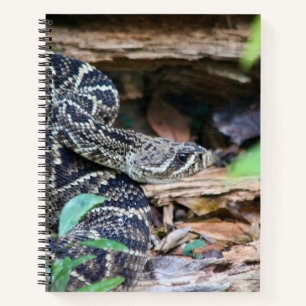 Carnet Crotale dans la nature