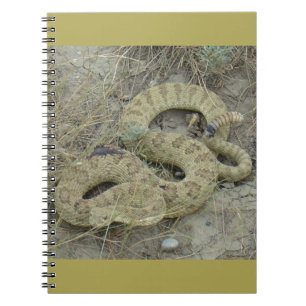 Carnet Crotale des prairies R20 Blessé