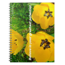 Croyez En Votre Plus Grand Potentiel.