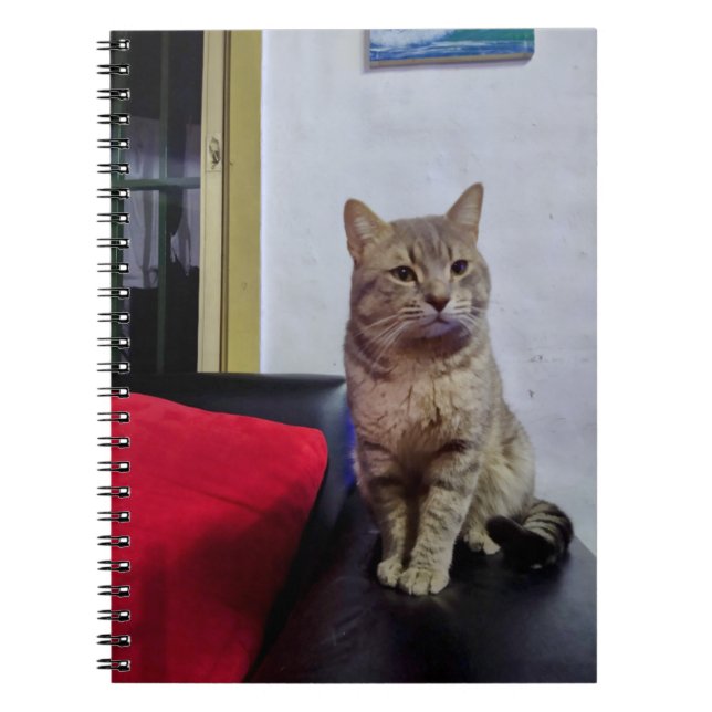 Carnet Cuaderno de fotos 16,5 x 22 cm; 80 paginas (Devant)