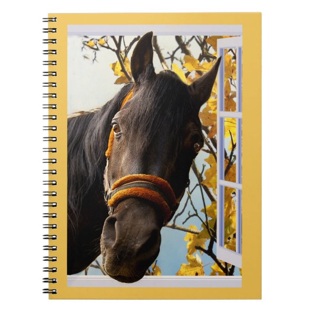 Carnet Curieux Cheval À Travers La Fenêtre De La Cuisine (Devant)
