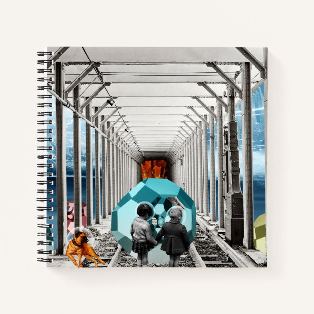 Carnet curiosité (Devant)