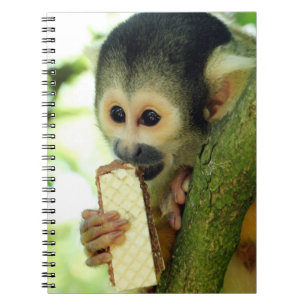 Carnet Cute Baby Squerrl Monkey Eating a Wafer Biscuit