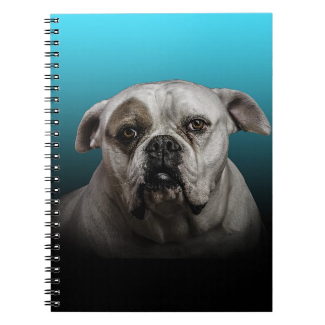 Carnet Cute Boxer Dog w Blue Black Gradient arrière - pla (Devant)