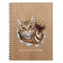 Cute Cat Notes - Spiral Photo Notebook