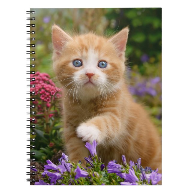Carnet Cute chaton gingembre dans un jardin (Devant)