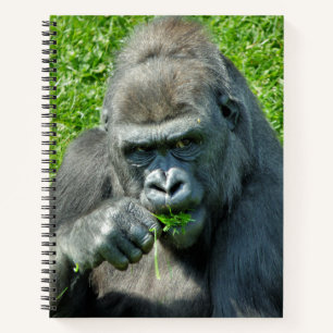 CARNET CUTE GORILLA
