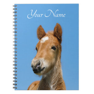 Carnet Cute Icelandic Horse Foal Pony Head Front - Name -