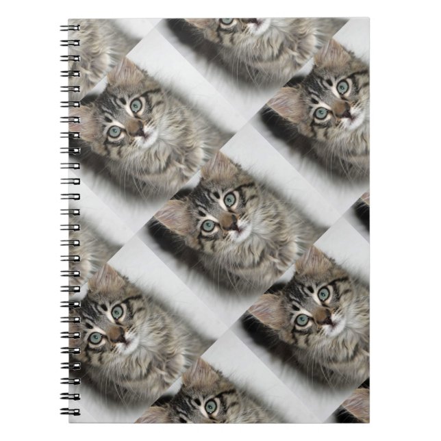 Carnet Cute Kitten (Devant)