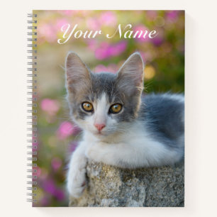 Carnet Cute Little Bicolor Kitten Fluffy Cat Photo - Nom