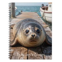 Cute Seal Laying on Boat Dock Ocean Pier