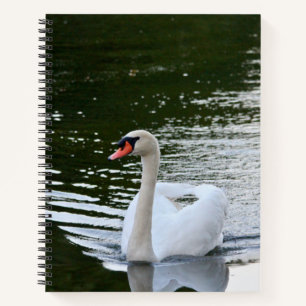 Carnet Cygne tuberculé élégant