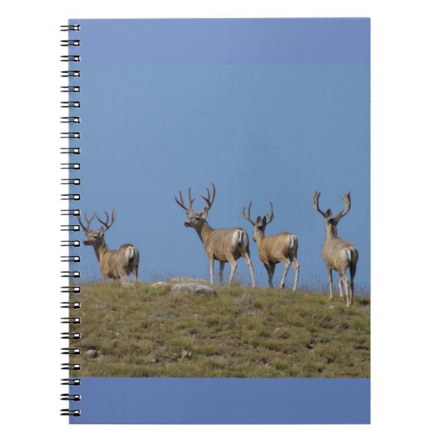 Carnet D9 Mule de seaux de cerfs en velours Skyline (Devant)