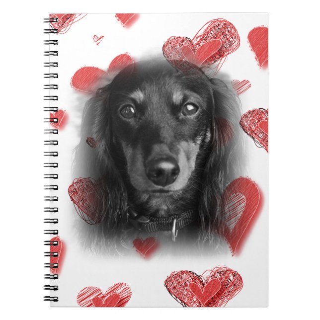 Carnet Dachshund aux Coeurs rouges (Devant)