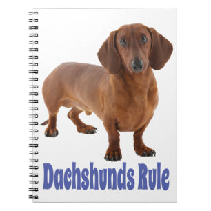 Carnet Dachshund Puppy Dog Blue Love