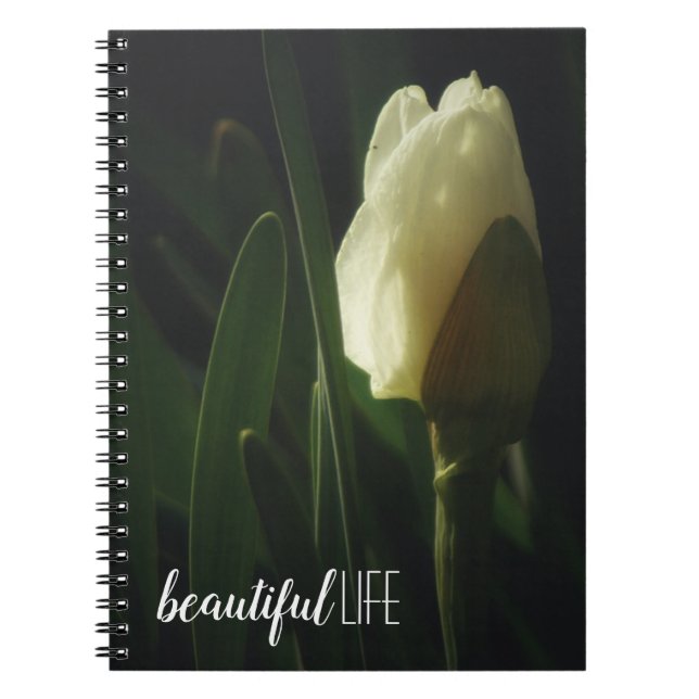 Carnet Daffodil Fleur Photographie Belle vie (Devant)