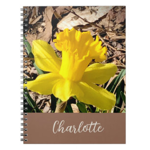 Carnet Daffodile de printemps jaune dans le jardin Nom pe