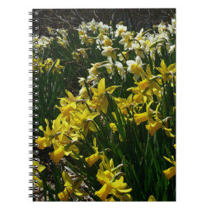 Carnet Daffodiles jaunes et blancs Fleurs de printemps