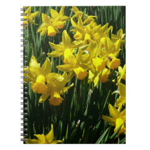 Carnet Daffodiles Jaunes I Fleurs De Printemps Cheveux