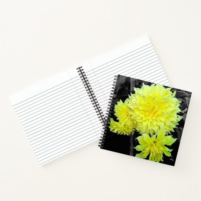 Carnet Dahlias jaunes géants (Intérieur)
