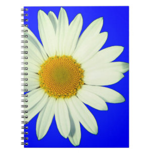 Carnet Daisy