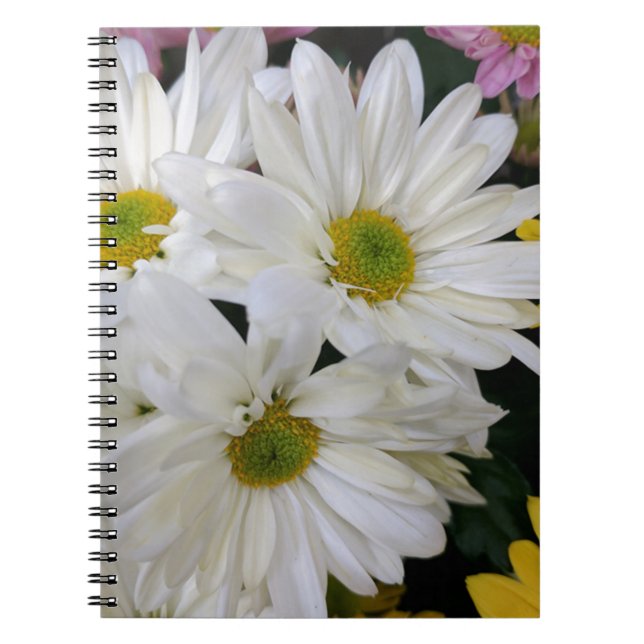 Carnet Daisy (Devant)