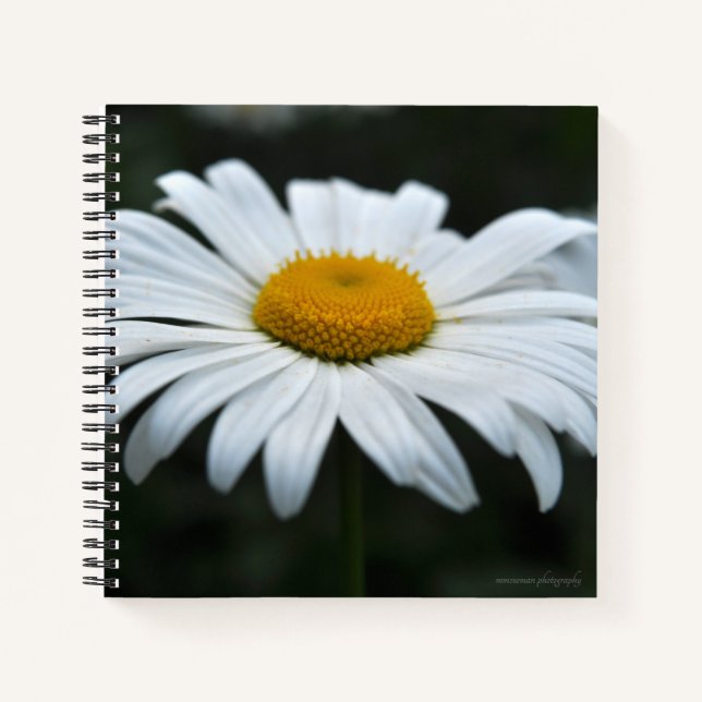 Carnet Daisy - Face vers le haut (Devant)