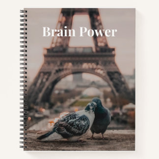 Carnet d'alimentation du cerveau