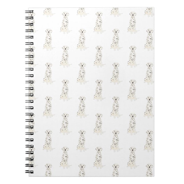 Carnet dalmate (Devant)
