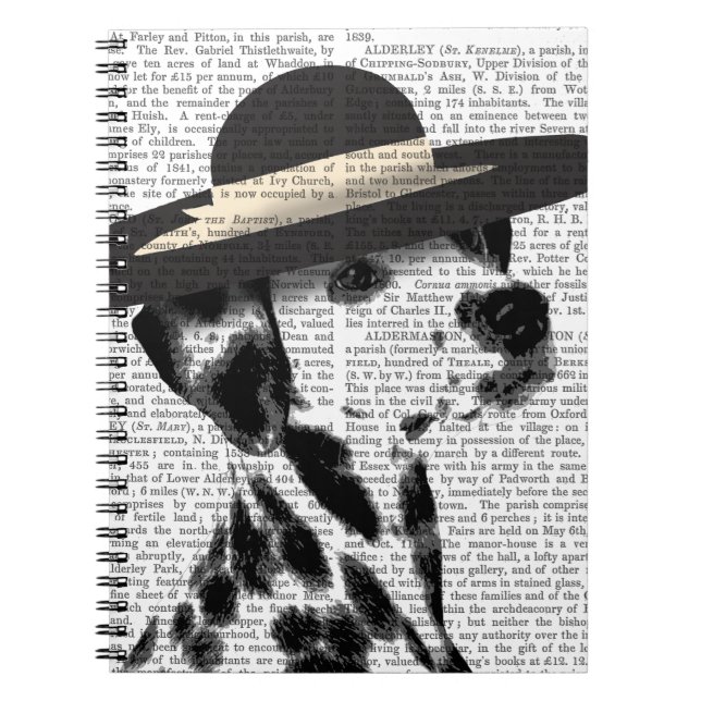 Carnet Dalmatie et Casquette noir émaillé (Devant)
