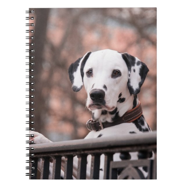 Carnet Dalmatien (Devant)