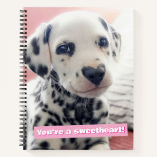Carnet Dalmatien Nez de Coeur