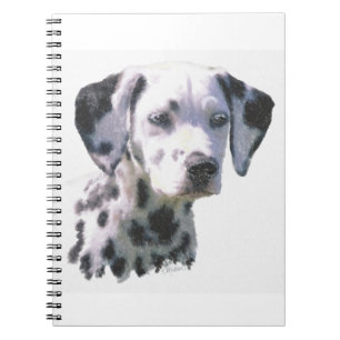 Carnet Dalmation Puppy