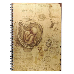 Carnet d'anatomie du foetus de da Vinci
