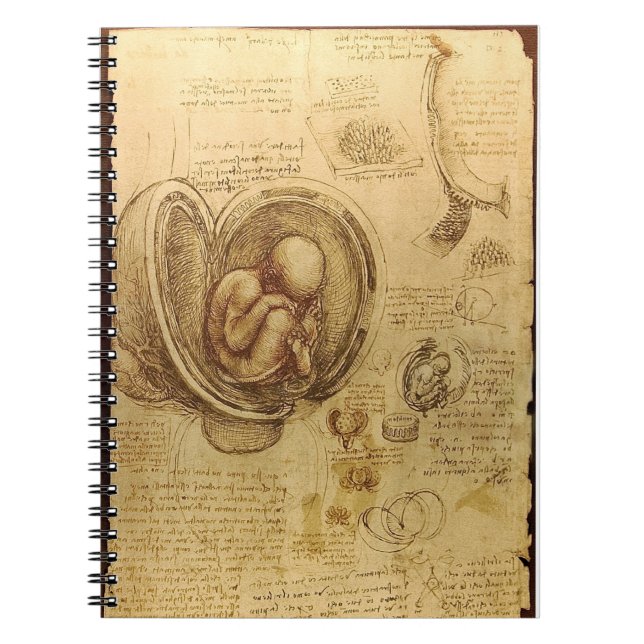 Carnet d'anatomie du foetus de da Vinci (Devant)