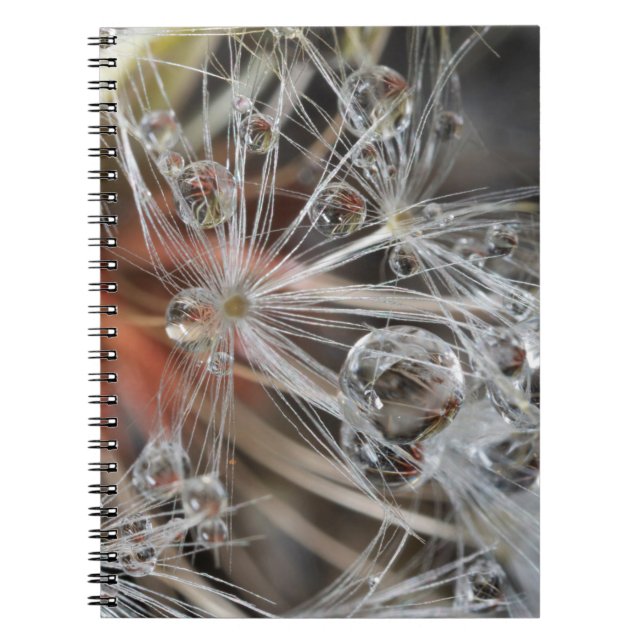 Carnet Dandelion Abstrait (Devant)