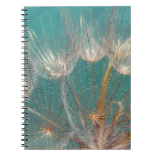 Carnet Dandelion blanc en gros plan photographie