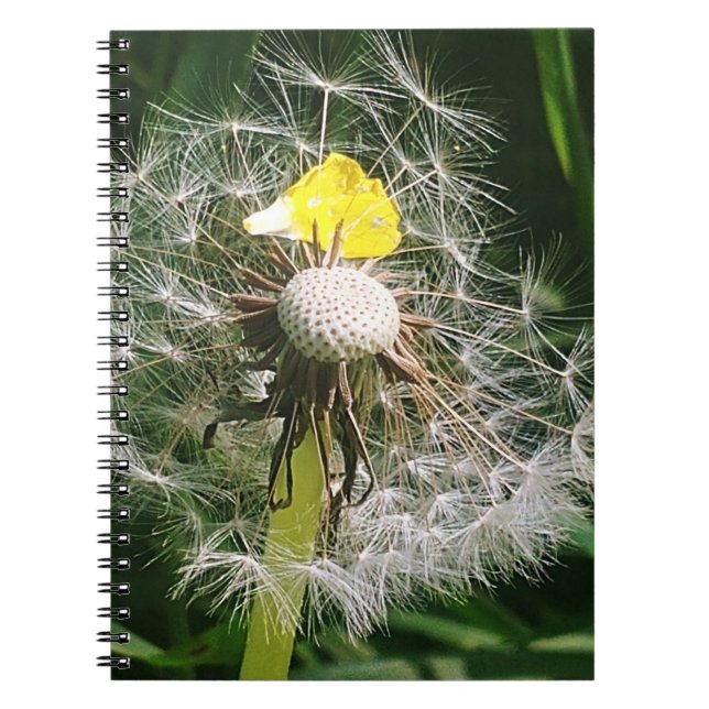 Carnet Dandelion mignon (Devant)