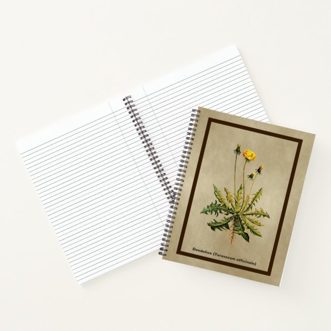 Carnet Dandelion Sur Vieux Papier (Intérieur)